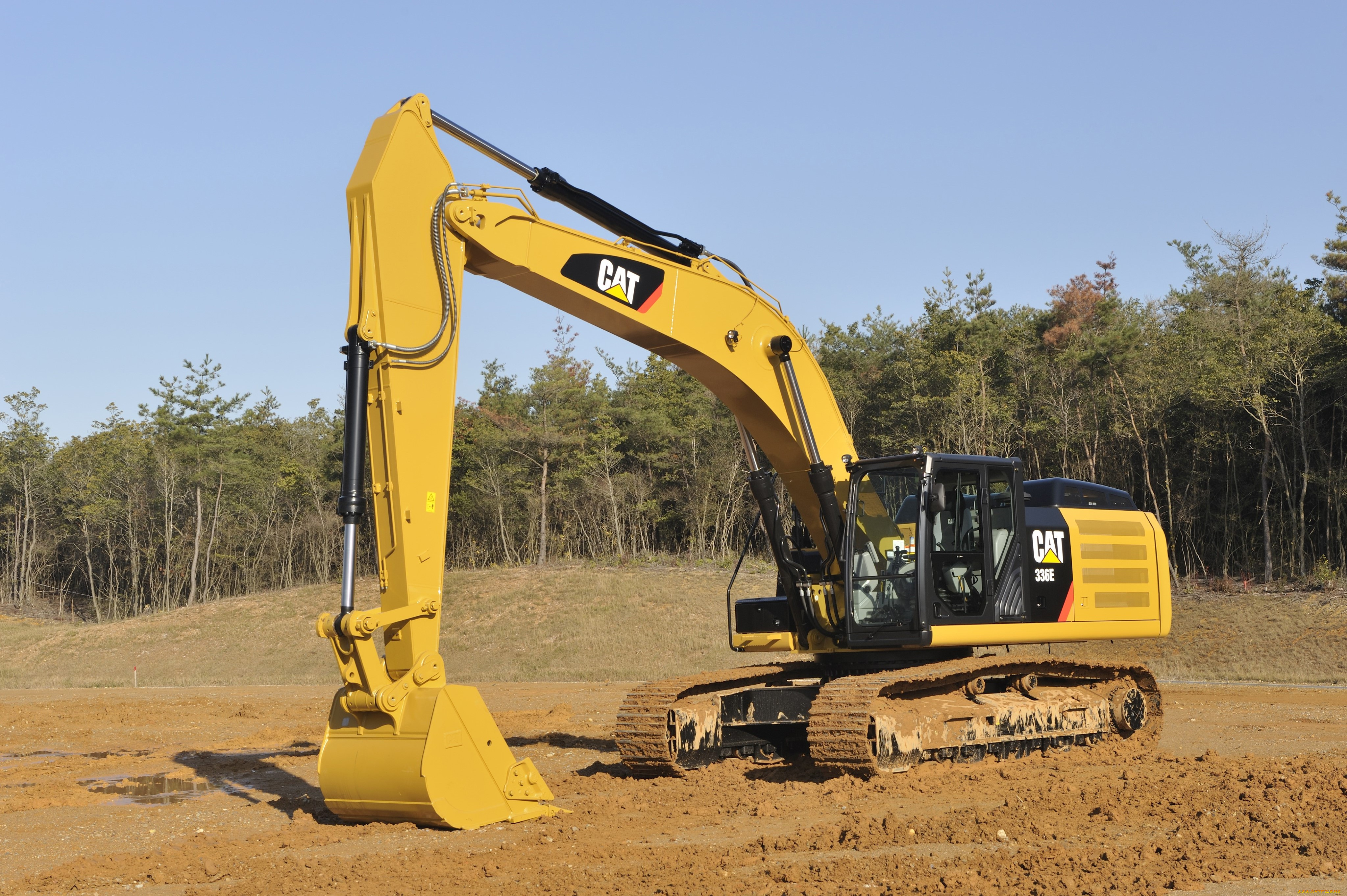 , , caterpillar